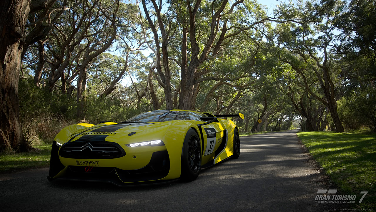 Citroen GT by Citroen Race Car Gr.4