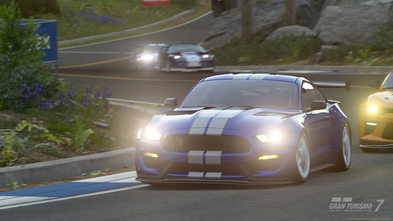 Ford Mustang Shelby GT350R '16 - 700PP