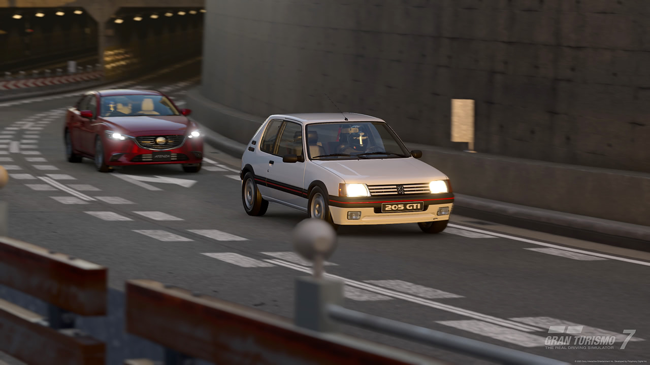 Peugeot 205 GTI '88 - Stock